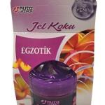 AUTO DEEPEN EGZOTİK ARABA KOKUSU